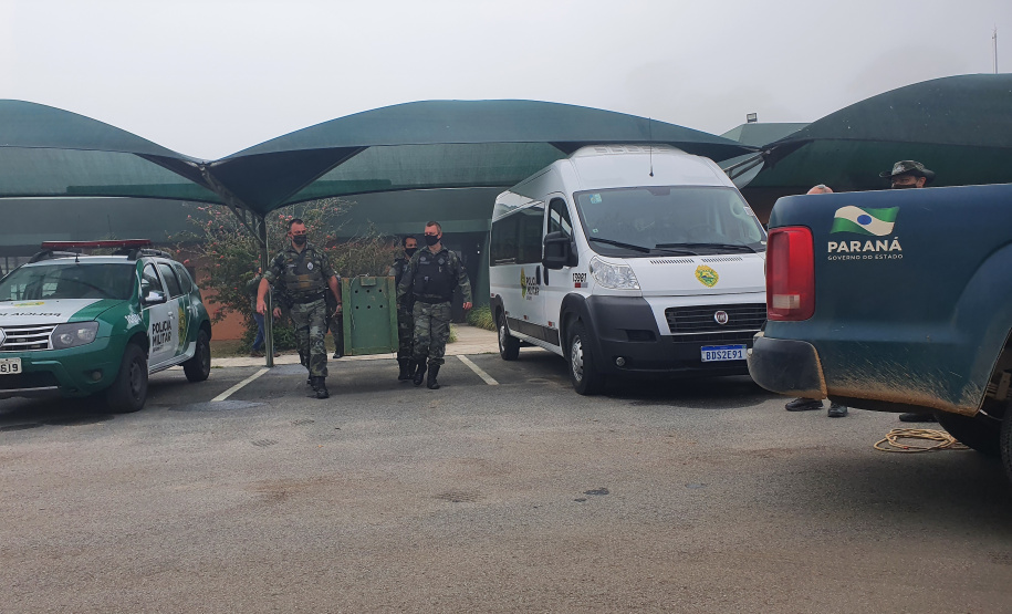O animal surpreendeu moradores de São José dos Pinhais nesta quinta-feira (27) após ser visto por uma criança no alto de uma árvore no terreno da residência da família, que acionou os órgãos competentes.
Foto:IAT