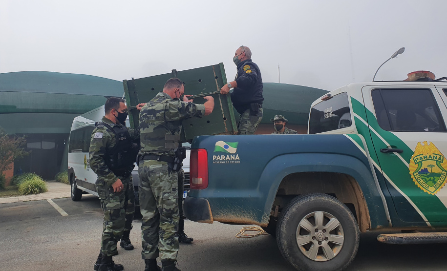 O animal surpreendeu moradores de São José dos Pinhais nesta quinta-feira (27) após ser visto por uma criança no alto de uma árvore no terreno da residência da família, que acionou os órgãos competentes.
Foto:IAT