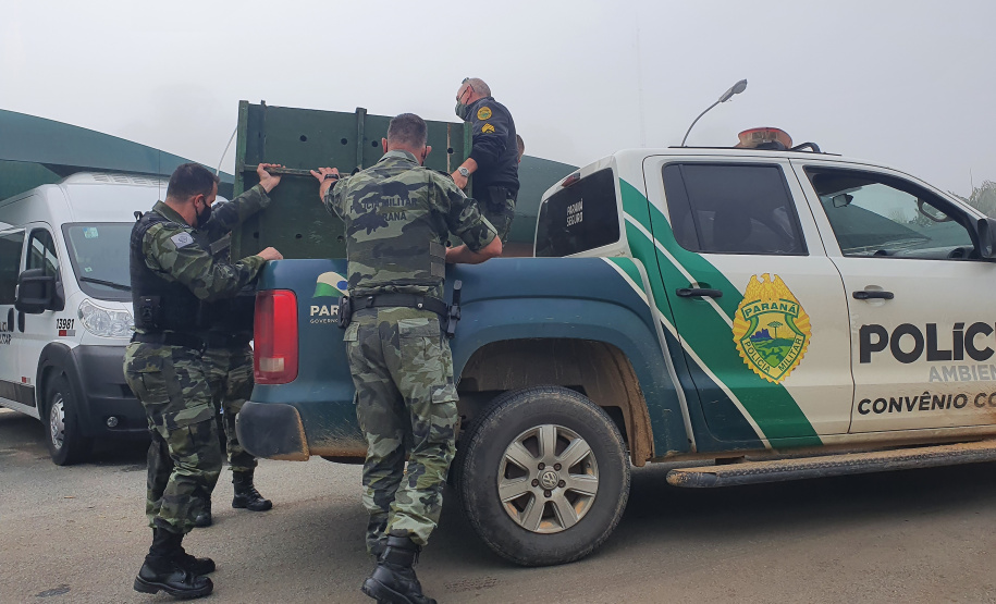 O animal surpreendeu moradores de São José dos Pinhais nesta quinta-feira (27) após ser visto por uma criança no alto de uma árvore no terreno da residência da família, que acionou os órgãos competentes.
Foto:IAT