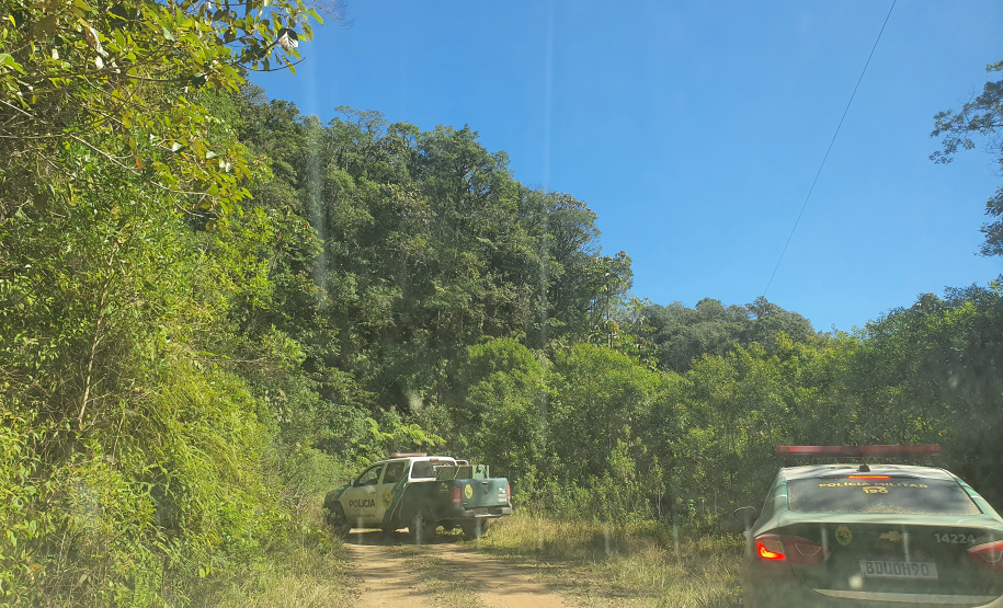 O animal surpreendeu moradores de São José dos Pinhais nesta quinta-feira (27) após ser visto por uma criança no alto de uma árvore no terreno da residência da família, que acionou os órgãos competentes.
Foto:IAT