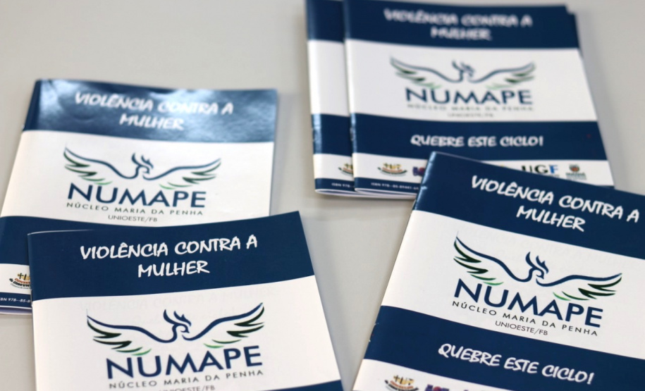 Universidades estaduais já fizeram 35 mil atendimentos de proteção à mulher. Foto:SETI