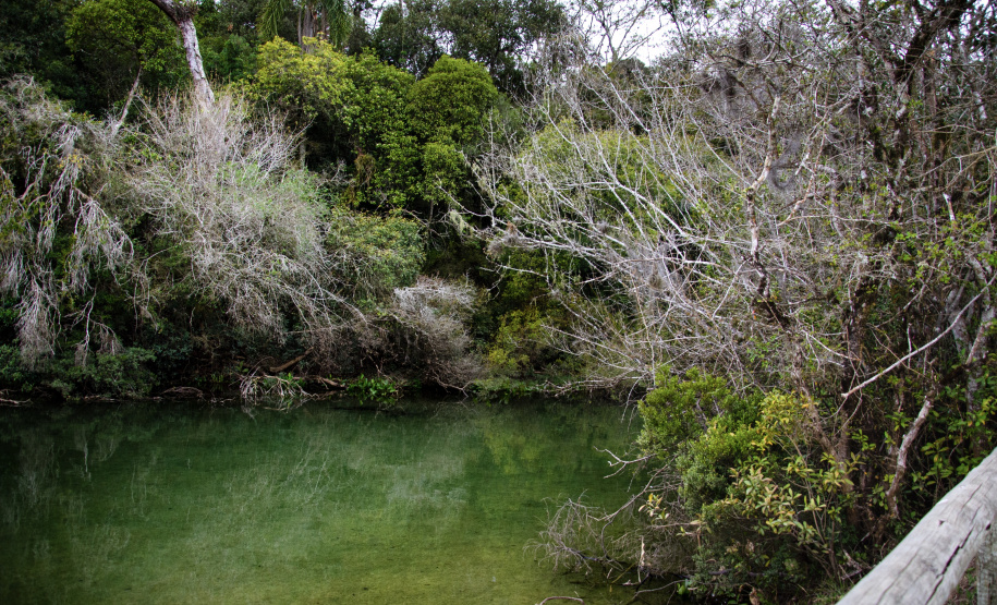 Foto: Arion Ferreira