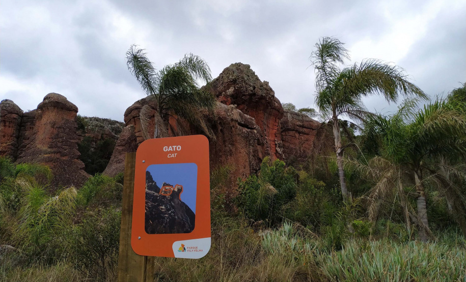 Foto:Daniele Iachecen