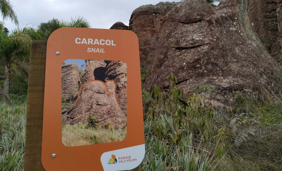 Foto:Daniele Iachecen