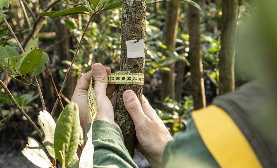 No Dia Nacional do Biólogo, 03 de setembro, a Portos do Paraná destaca a atuação desses profissionais nos programas na área de meio ambiente nos portos de Paranaguá e Antonina.  A empresa pública mantém 20 iniciativas de monitoramento e conservação e é reconhecida internacionalmente pelas ações de cuidado com a sustentabilidade.