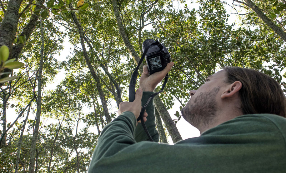 No Dia Nacional do Biólogo, 03 de setembro, a Portos do Paraná destaca a atuação desses profissionais nos programas na área de meio ambiente nos portos de Paranaguá e Antonina.  A empresa pública mantém 20 iniciativas de monitoramento e conservação e é reconhecida internacionalmente pelas ações de cuidado com a sustentabilidade.