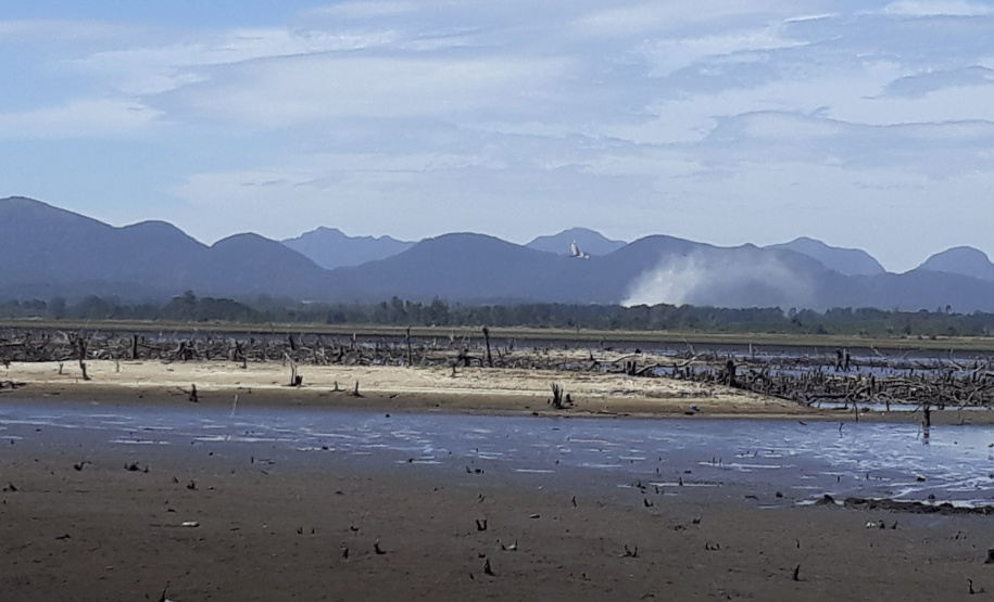 Incêndio em área de manancial tem prioridade dos bombeiros. Foto: Sanepar