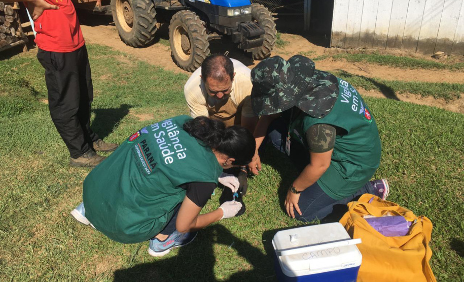 Bloqueio vacinal contra raiva é realizado no Noroeste do Paraná
. Foto:SESA