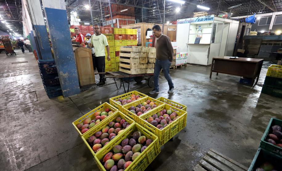 Ceasa Curitiba licitará áreas para seu mercado atacadista
. Foto:Arnaldo Aleve/Arquivo AEN