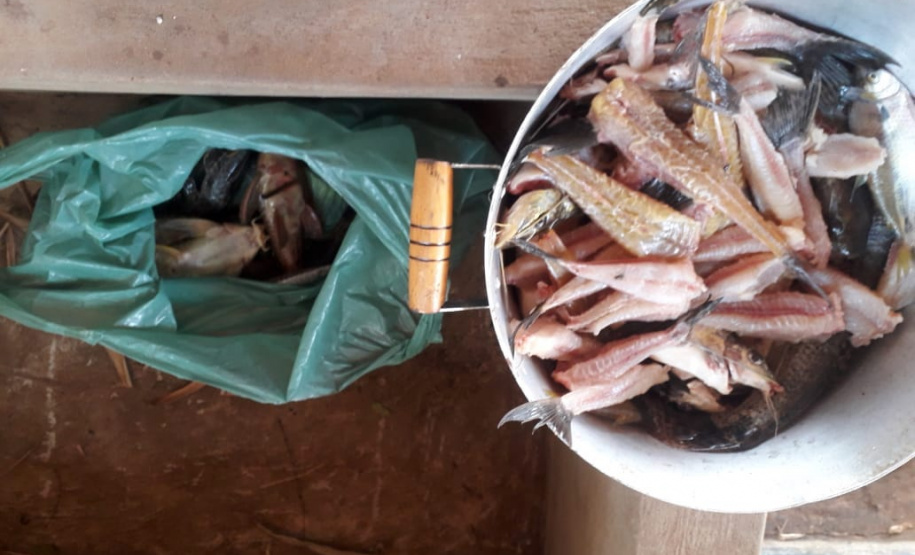 Atividades irregulares foram identificadas em parques estaduais
. Foto:SEDEST