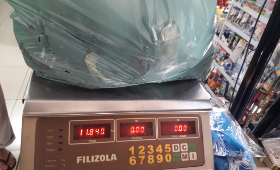 Atividades irregulares foram identificadas em parques estaduais
. Foto:SEDEST