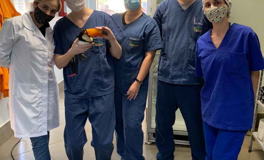 IAT conta com parcerias para atendimento de animais silvestres. Foto:HV UniFil