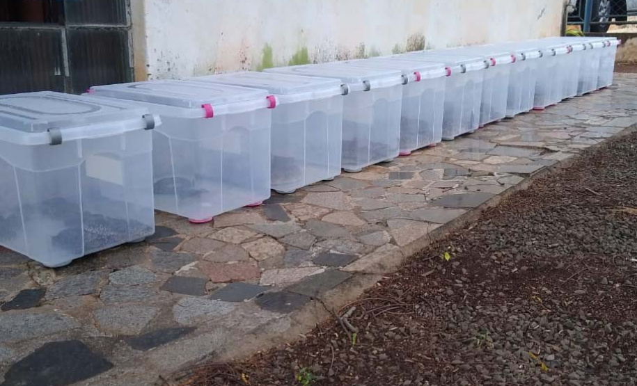 Polícia Ambiental do Paraná prende 231 pessoas e resgata 234 animais e mais de 2 mil aves silvestres no semestre. Foto: SESP