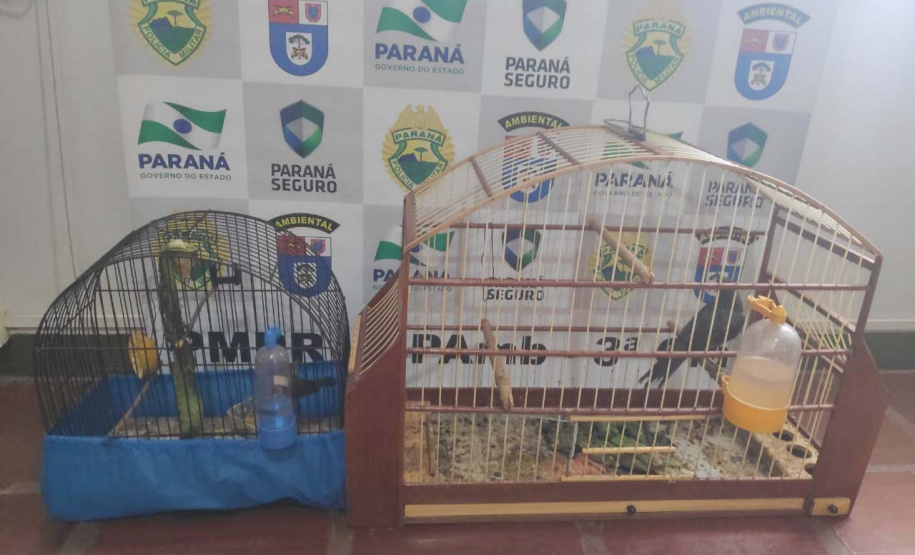 Polícia Ambiental do Paraná prende 231 pessoas e resgata 234 animais e mais de 2 mil aves silvestres no semestre. Foto: SESP