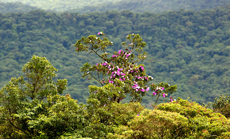 Serra da Baitaca. Foto: Denis Ferreira Netto/SEDEST