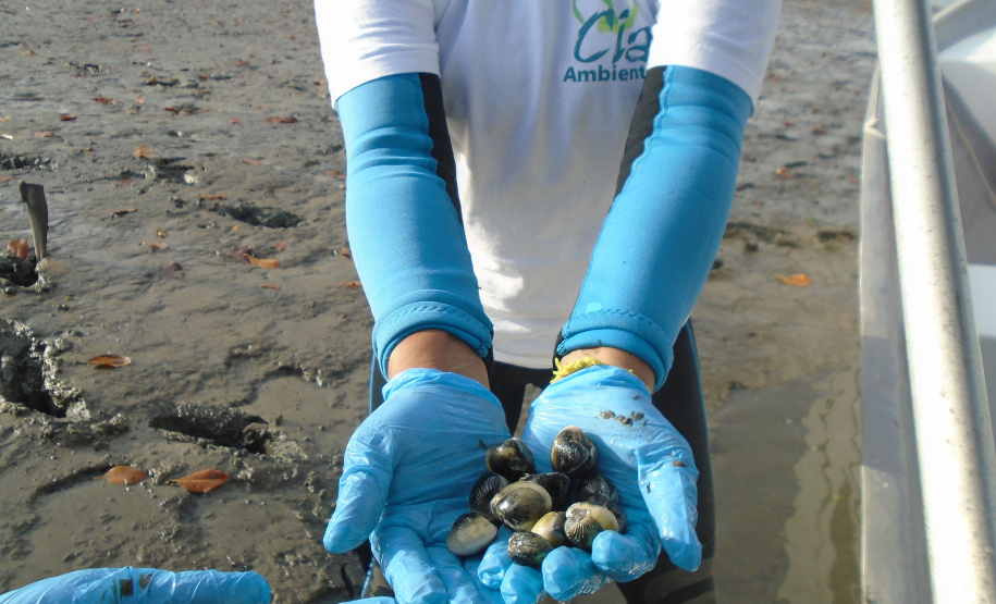Portos do Paraná mantêm cuidado com o meio ambiente. Foto: Portos do Paraná