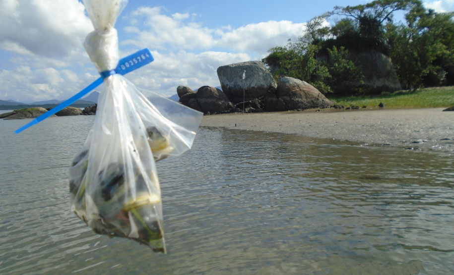 Portos do Paraná mantêm cuidado com o meio ambiente. Foto: Portos do Paraná