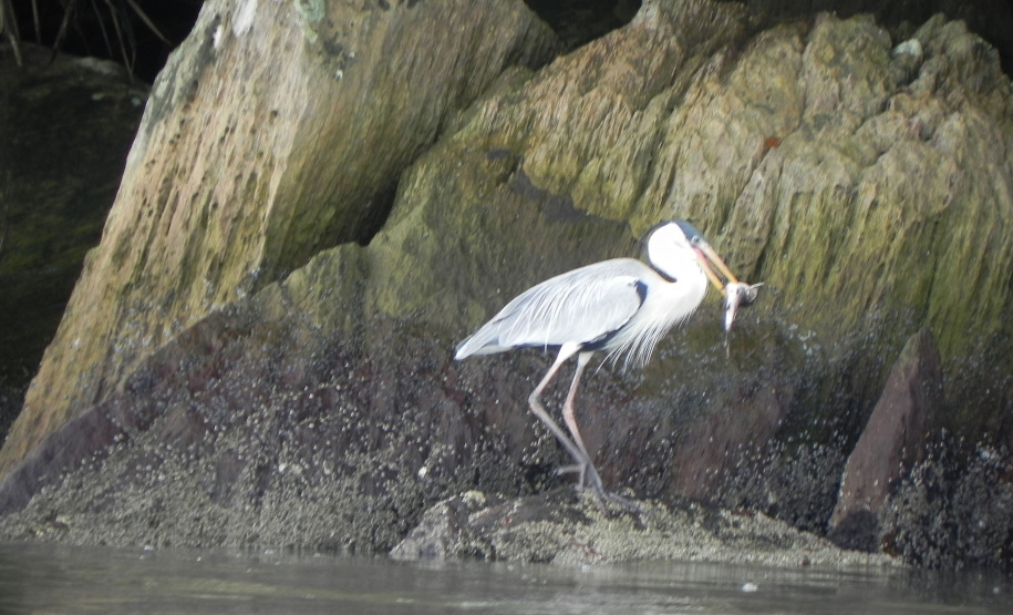 Portos do Paraná mantêm cuidado com o meio ambiente. Foto:lLeonardo de Conto