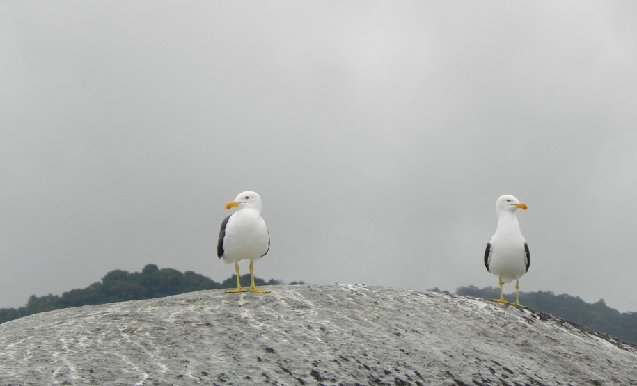 Portos do Paraná mantêm cuidado com o meio ambiente. Foto:lLeonardo de Conto