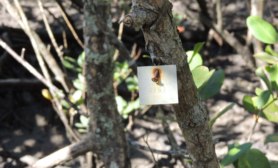 Portos do Paraná mantêm cuidado com o meio ambiente. Foto: Portos do Paraná