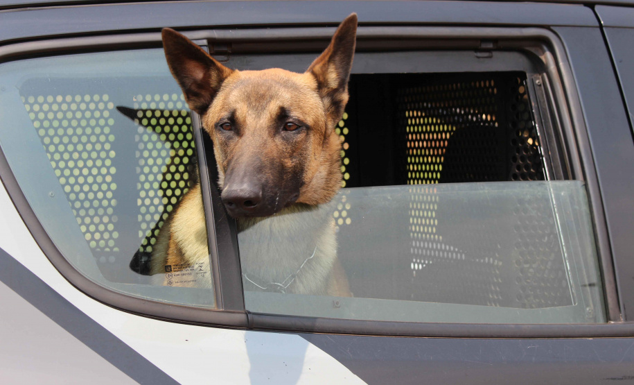 Ação integrada na divisa do PR com SP prendeu quase mil pessoas. FOTO:SESP