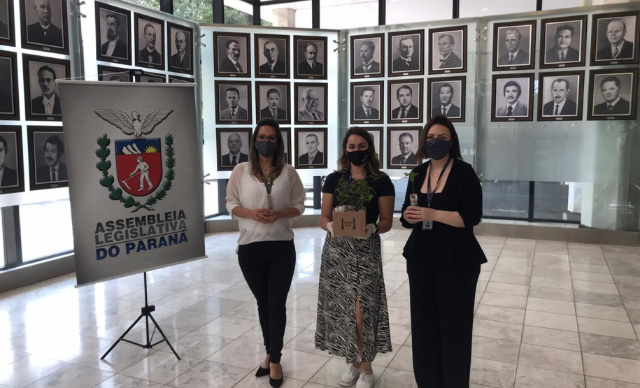 Dia Mundial da Limpeza tem adesão de 12 instituições no Paraná
.Foto:SEDEST