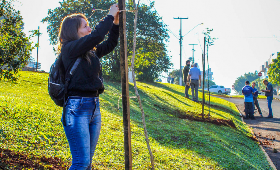 Programa da Copel incentiva arborização dos municípios
.Foto:Copel