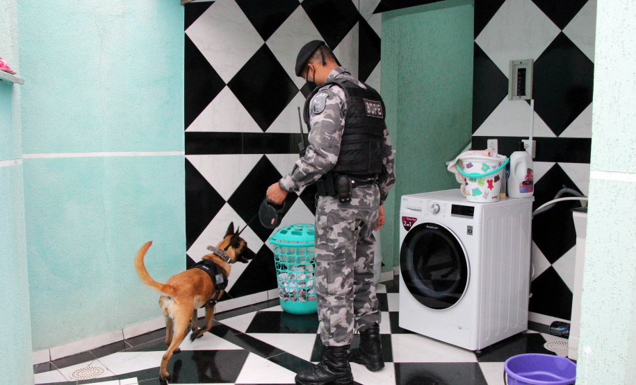 Curitiba, 22 de setembro de 2020.  Operação Lisboa