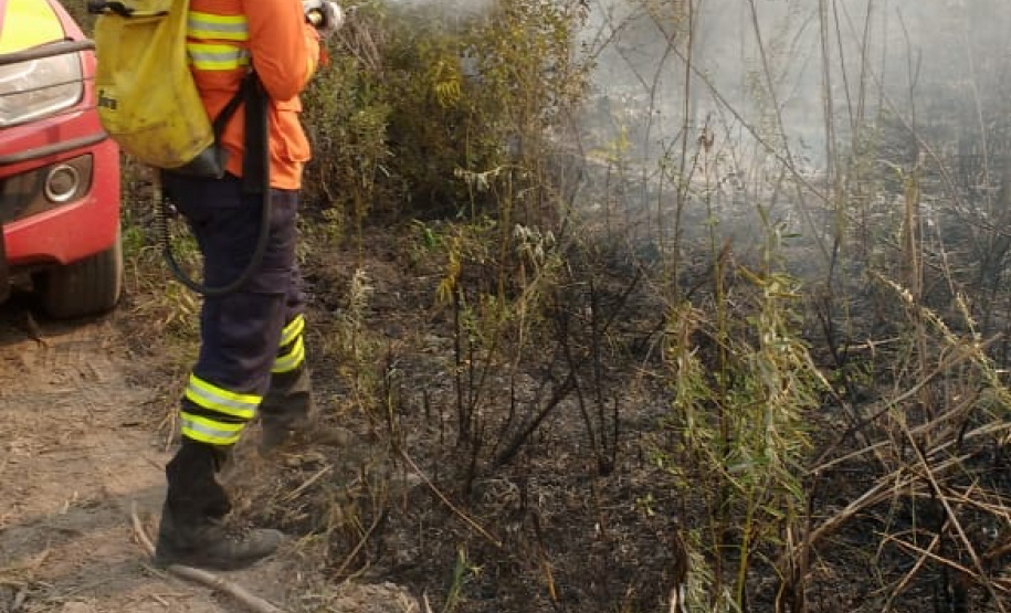Bombeiros do Paraná completam dez dias de combate a incêndios no Pantanal
. Foto: Corpo de Bombeiros