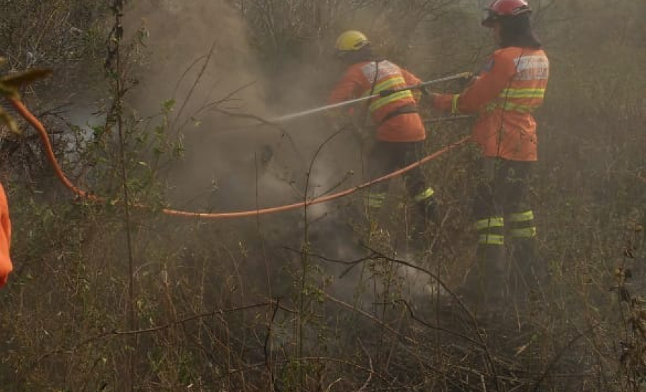 Bombeiros do Paraná completam dez dias de combate a incêndios no Pantanal
. Foto: Corpo de Bombeiros