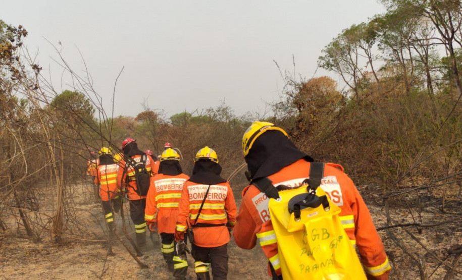 Bombeiros do Paraná completam dez dias de combate a incêndios no Pantanal
. Foto: Corpo de Bombeiros