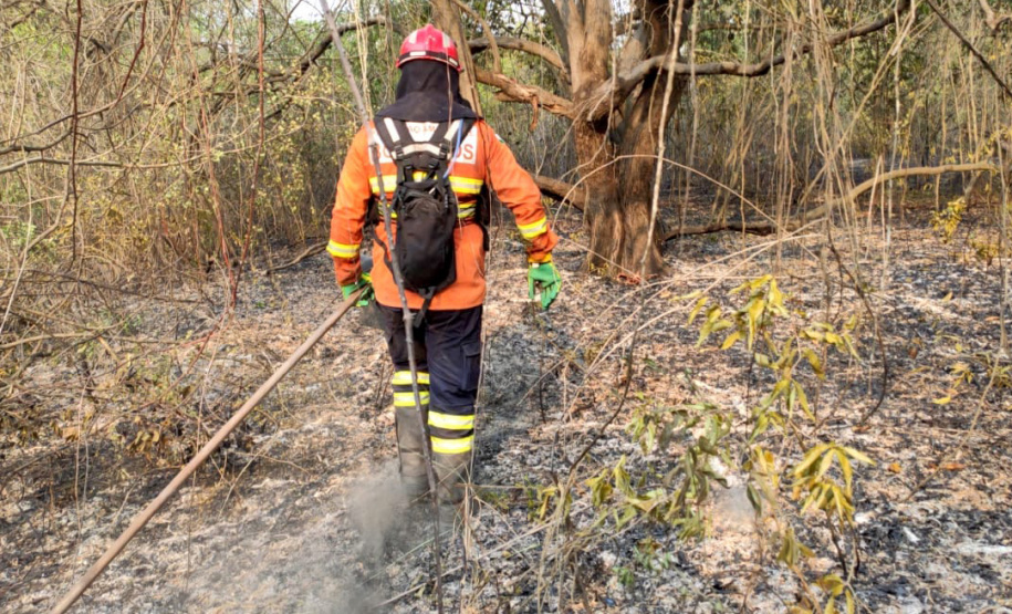Bombeiros do Paraná completam dez dias de combate a incêndios no Pantanal
. Foto: Corpo de Bombeiros
