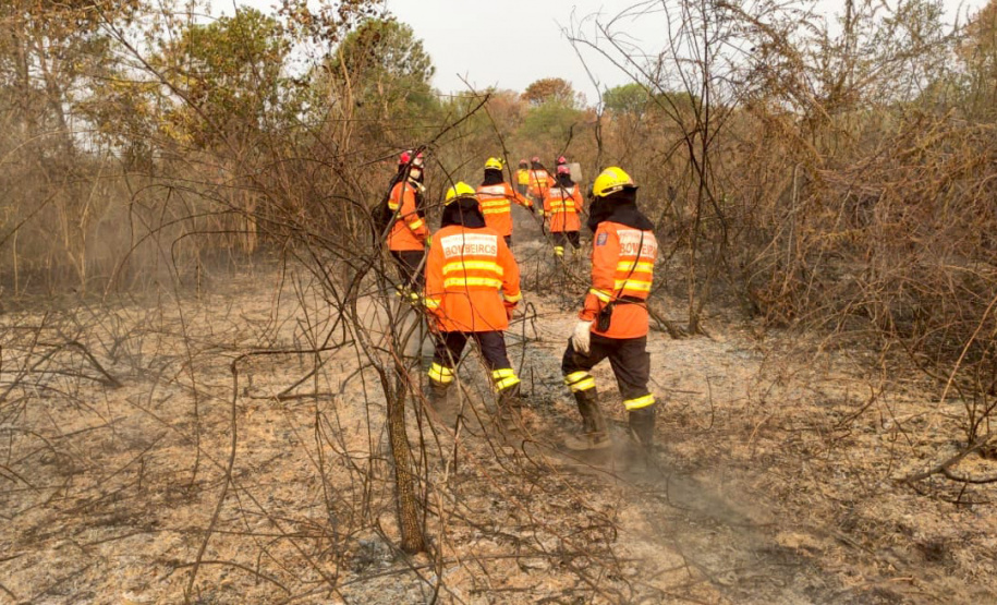 Bombeiros do Paraná completam dez dias de combate a incêndios no Pantanal
. Foto: Corpo de Bombeiros