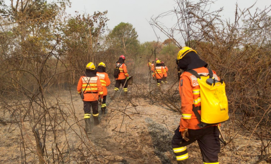 Bombeiros do Paraná completam dez dias de combate a incêndios no Pantanal
. Foto: Corpo de Bombeiros