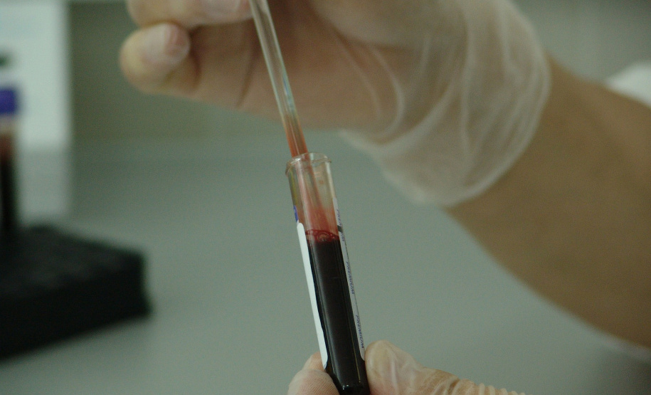 Ipec e Rede Paranaense de Pesquisa Genômica passam a integrar consorcio internacional. Foto: