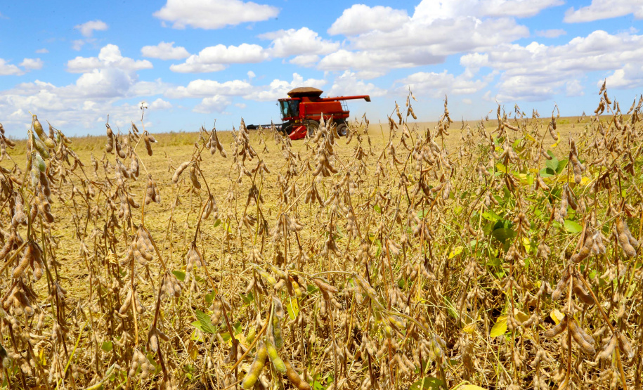 Safra soja 2020. Fotos:Jaelson Lucas / AEN