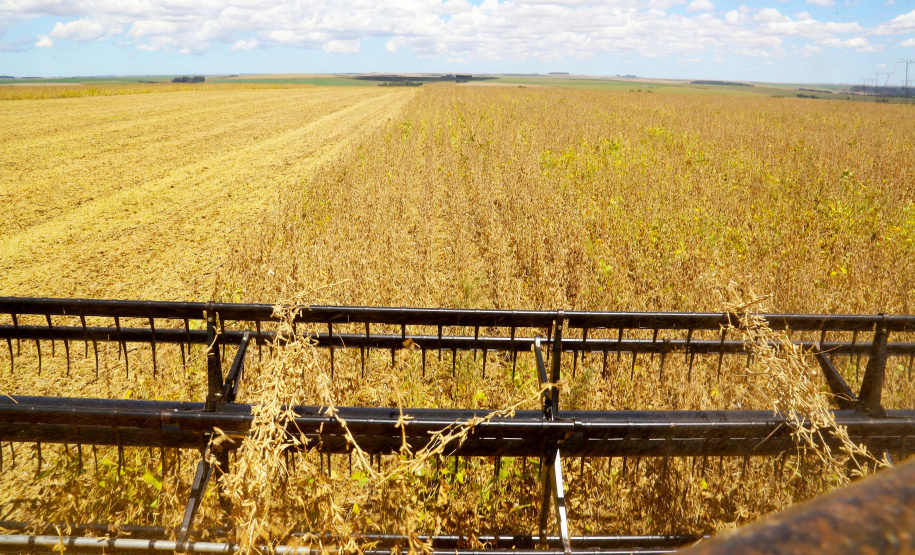 Safra soja 2020. Fotos:Jaelson Lucas / AEN