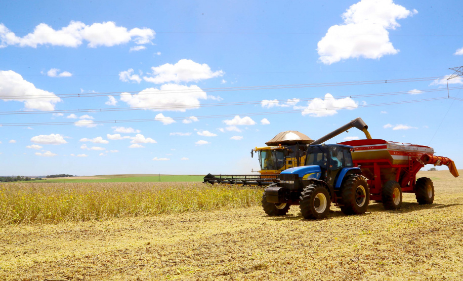 Safra soja 2020. Fotos:Jaelson Lucas / AEN