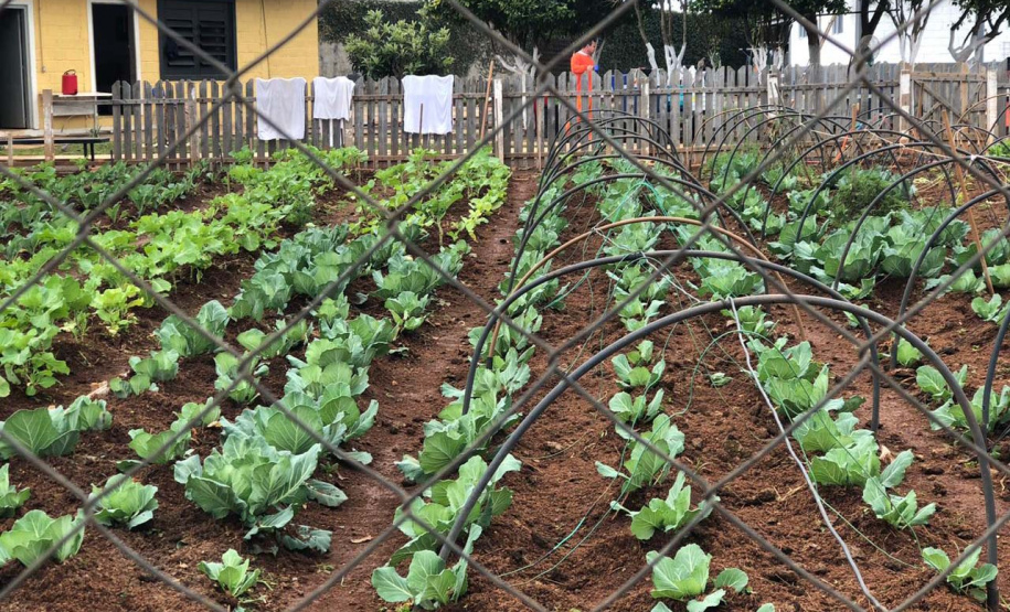 Modernização e profissionalização marcam os 112 anos do sistema prisional do Paraná
. Foto:DEPEN