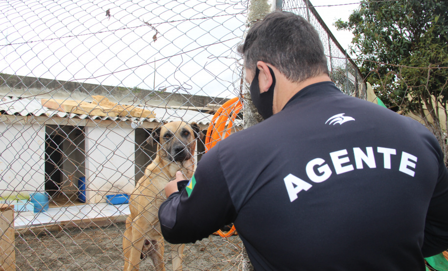 Modernização e profissionalização marcam os 112 anos do sistema prisional do Paraná
. Foto:DEPEN