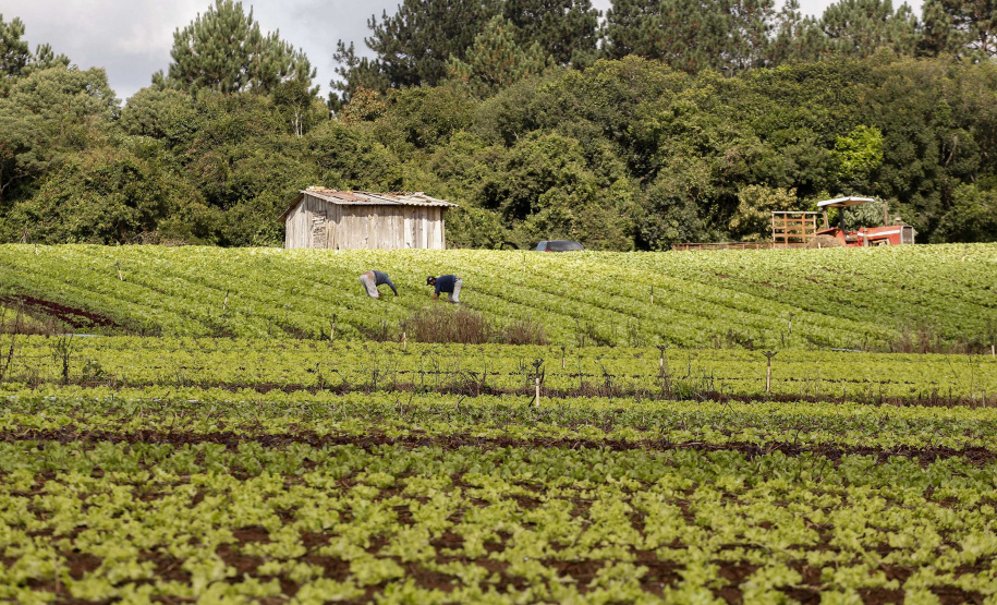Programa Coopera Paraná discute crédito para financiar investimentos nas cooperativas da agroindústria familiar . Foto: Arnaldo Alves/Arquivo- AEN