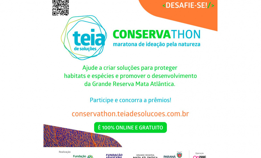 Evento desafia criatividade em soluções para a proteção da Mata Atlântica