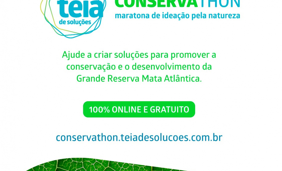 Evento desafia criatividade em soluções para a proteção da Mata Atlântica.