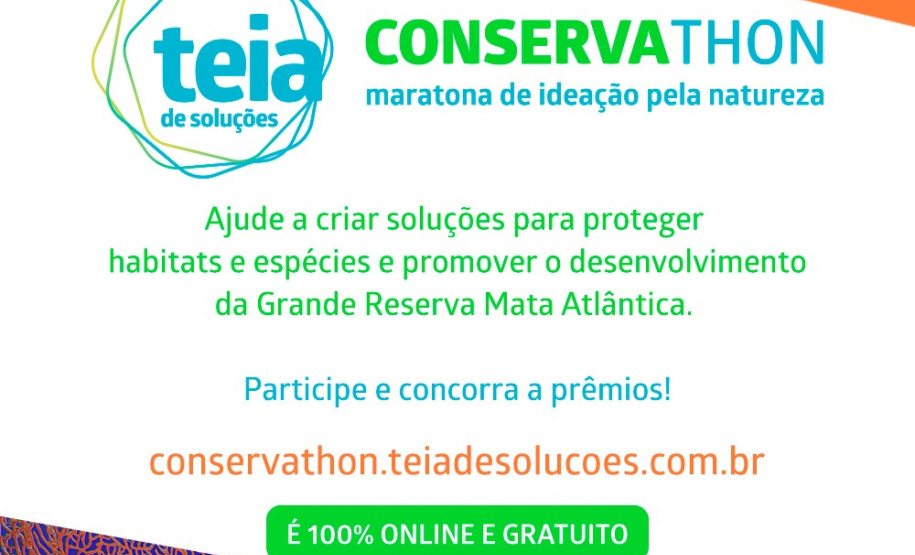 Evento desafia criatividade em soluções para a proteção da Mata Atlântica.