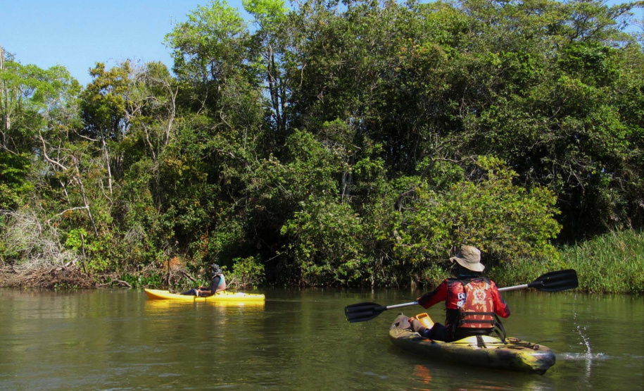 A Rota dos Pioneiros, a maior trilha aquática do Brasil e que deve ser tornar a maior do mundo, está retomando suas atividades. O grupo de voluntários responsável pela demarcação da rota ao longo do Rio Paraná e de seus afluentes voltou a fazer a sinalização do percurso, depois de uma interrupção de sete meses por causa da pandemia do novo coronavírus. Alguns passeios de caiaque pelo rio também voltaram a ser oferecidos por guias locais.  Foto: Erick Caldas Xavier