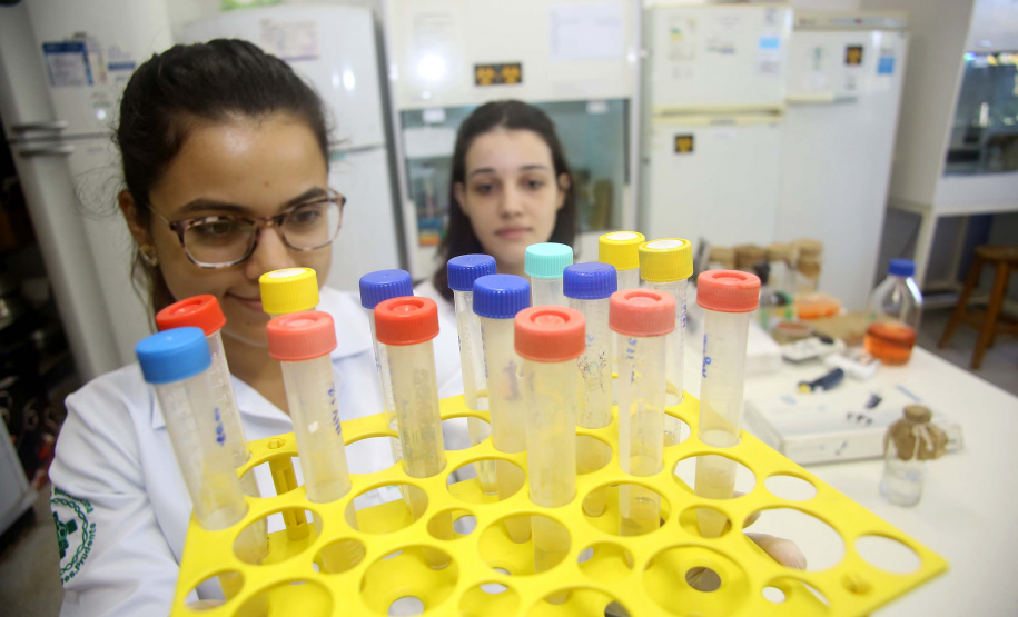 Paraná autoriza retorno presencial de aulas dos últimos anos de cursos da Saúde.Foto: Jaelson Lucas/Arquivo AEN