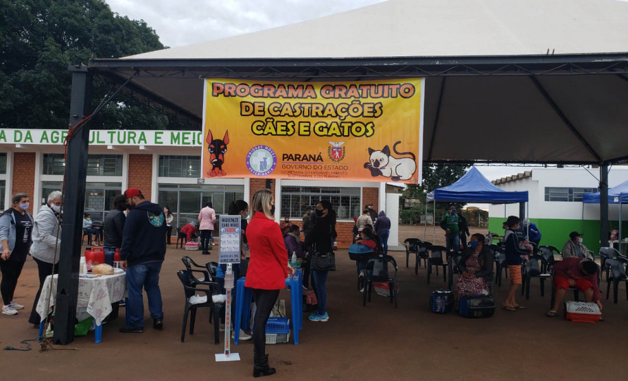 A Secretaria de Estado do Desenvolvimento Sustentável e do Turismo já realizou mais de 5.300 castrações de animais domésticos pelo Programa Permanente de Esterilização de Cães e Gatos.Foto: Prefeitura de Campo Mourão
