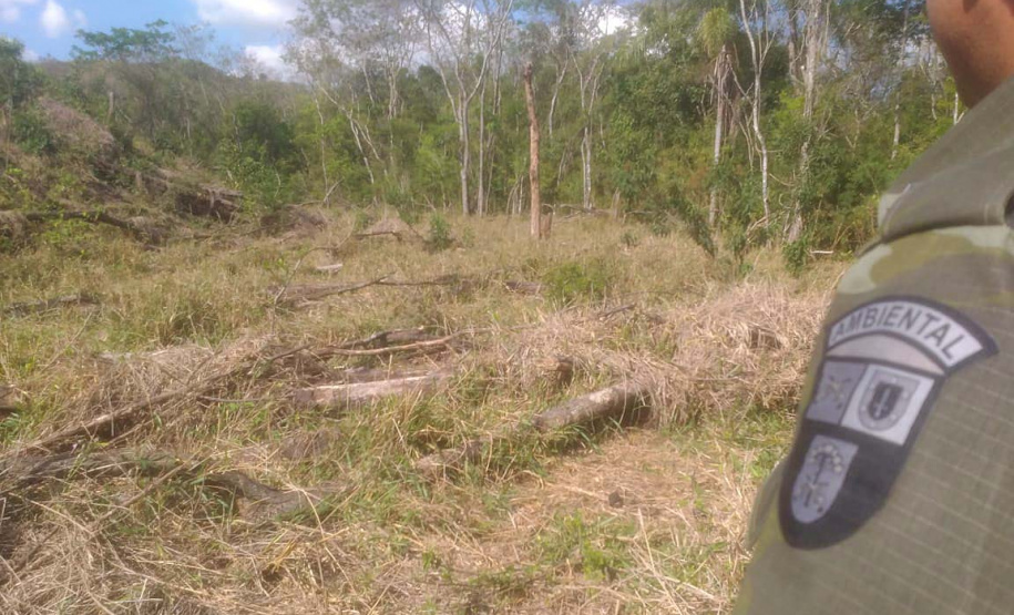 Em oito dias de ações, o Batalhão de Polícia Ambiental-Força Verde (BPAmb-FV) lavrou 26 autos de infração ambiental e aplicou mais de R$ 2,5 milhões em multas por desmatamento de florestas em todo o estado pela quarta edição da Operação Mata Atlântica em Pé. O trabalho é feito em conjunto com o Instituto Água e Terra (IAT), o Ibama e o Ministério Público do Paraná. Foto:SESP