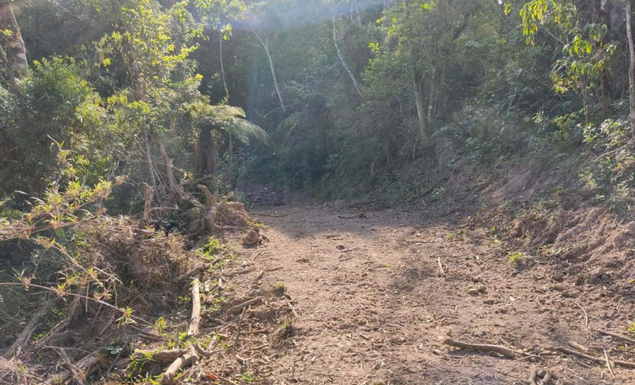 Em oito dias de ações, o Batalhão de Polícia Ambiental-Força Verde (BPAmb-FV) lavrou 26 autos de infração ambiental e aplicou mais de R$ 2,5 milhões em multas por desmatamento de florestas em todo o estado pela quarta edição da Operação Mata Atlântica em Pé. O trabalho é feito em conjunto com o Instituto Água e Terra (IAT), o Ibama e o Ministério Público do Paraná. Foto:SESP