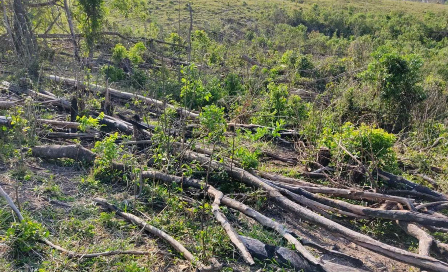 Em oito dias de ações, o Batalhão de Polícia Ambiental-Força Verde (BPAmb-FV) lavrou 26 autos de infração ambiental e aplicou mais de R$ 2,5 milhões em multas por desmatamento de florestas em todo o estado pela quarta edição da Operação Mata Atlântica em Pé. O trabalho é feito em conjunto com o Instituto Água e Terra (IAT), o Ibama e o Ministério Público do Paraná. Foto:SESP